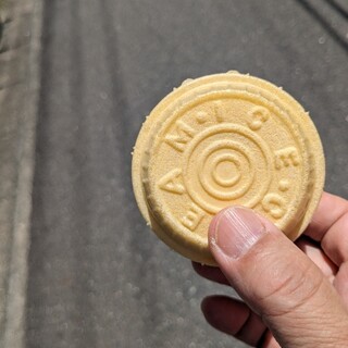 平工アイスクリーム店_0