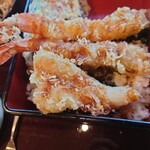 Keishouan Shirotori Sou - 天ぷらに掛けてあるタレは醤油味で
                      甘さ、和の出汁感の他に鶏の旨味成分を感じた。
                      これも精算時に
                      「天ぷらのタレに鶏の旨味が入ってますね？」
                      とお尋ねしたら
                      「はい、入ってますね」と話された。