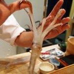 葵 - 吸盤がえらいこっちゃ