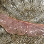 馳走 啐啄一十  - 