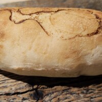 biodinamico - 
