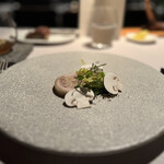 アルカナイズ - 