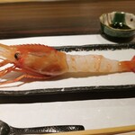 Sushi Yamaken - ボタン海老 