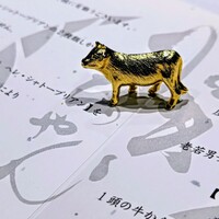 黒毛和牛ヘレ肉専門店 炭火焼肉 りきちゃん 北浜店 - 