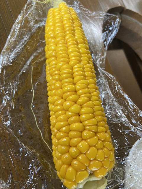 山崎農園 - 山部（その他）の写真