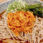 そばけん - 辛ねぎ蕎麦冷中、かやくごはん