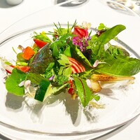 レフェルヴェソンス - 