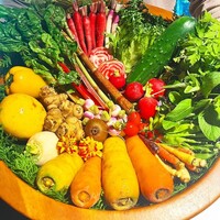 レフェルヴェソンス - 