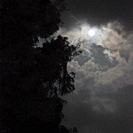 小布施 寄り付き料理 蔵部 - 蔵部の笹庭前に満月