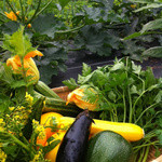 スペイン料理店 エステーリャ - 