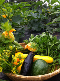 스페인 요리점 에스테리야