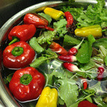 スペイン料理店 エステーリャ - 