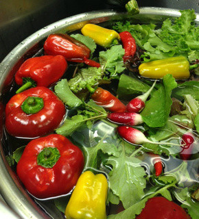 스페인 요리점 에스테리야