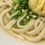 うどんSOBA 141 - 