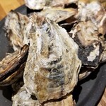 FAST OYSTERS - 