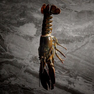 【厳選された仕入れ】選りすぐりの高級食材