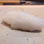 すしやのたい悟 - ２・あおりいか