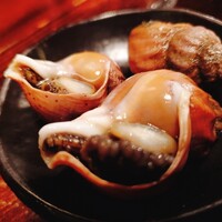 江戸心 山ぼうし - 