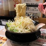 安城 ハッピーマウンテンラーメン ぎん晴れ55 - 