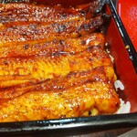 うなぎ 魚政 - うな重、ブランドうなぎ 特上