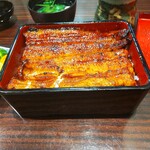 うなぎ 魚政 - うな重、ブランドうなぎ 特上