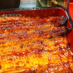 うなぎ 魚政 - うな重、ブランドうなぎ 特上