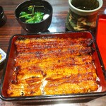 うなぎ 魚政 - うな重、ブランドうなぎ 特上