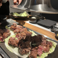 黒毛和牛ヘレ肉専門店 炭火焼肉 りきちゃん 北浜店 - 