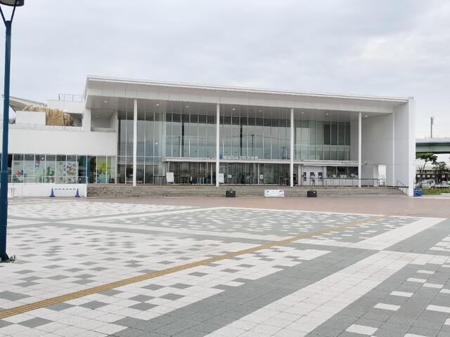 うみの杜水族館 ウミモリショップ（うみの杜水族館 umimori shop） - 中野栄（洋菓子）の写真