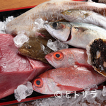 Izakaya Umai Mon - 30種類以上の魚料理をご用意しています！