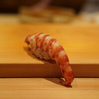 鮨 さかい - 車海老