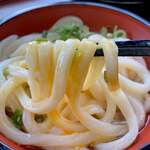 Masu Udon - 