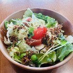 シバベ - サラダでお腹の準備体操