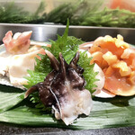 三喜鮨 - ホッキ貝、生とり貝、帆立、赤貝