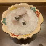 くずし 之助 - 舞阪産遠州灘の鱧焼き霜造り　梅肉ソース