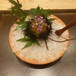 くずし 之助 - 北海道産　殻付き紫雲丹　土佐酢ジュレ