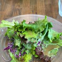 BISTRO FAVORI 代官山 - 