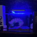 日本酒処 季っ酔 - お洒落なトイレ。