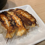 麺達 - 餃子はまあ普通