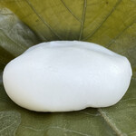 羊羹屋本舗 - 柏もち　のアップ