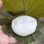 羊羹屋本舗 - 柏もち