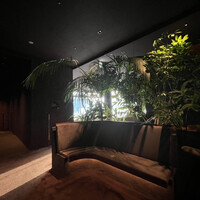 l'elan - 