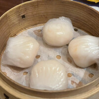 家寶 跳龍門 - 
