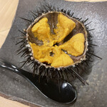 鮨 はる孝 - 北海道、雲丹