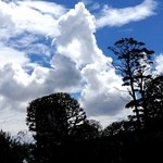 天の勢　地球カレー - これが竜巻になるのかもしれない。龍ならず。