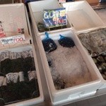 菅原鮮魚 さかた海鮮市場本舗 - 店内の様子