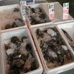 菅原鮮魚 さかた海鮮市場本舗 - 岩牡蠣は大きさいろいろ