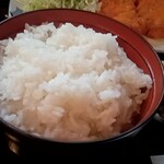 Kazuma - ご飯多め