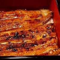 つきじ宮川本廛 - 