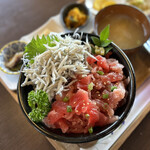 海花 - シラスとネギトロの2色丼、1500円